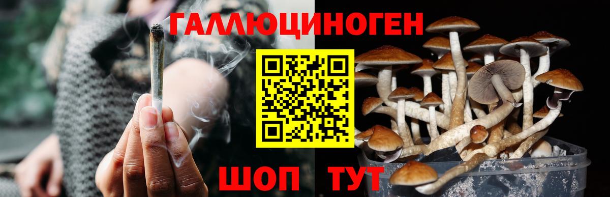 Псилоцибиновые грибы прущие грибы  Вход с VPN  Анапа 
